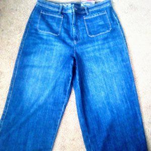 Talbot's wide leg culottes blue jean pants
